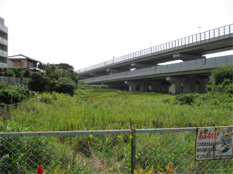 浦の谷上池の画像