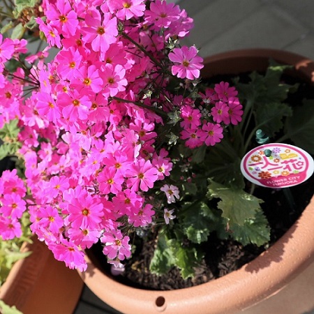 フリースペース・みなみ1