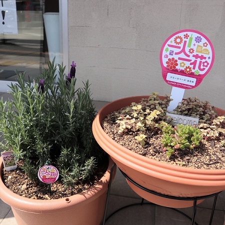 フリースペース・みなみ2