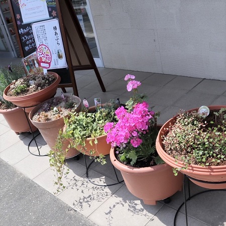 フリースペース・みなみ3