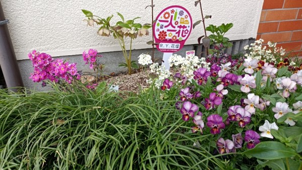 R.Y.花壇　1