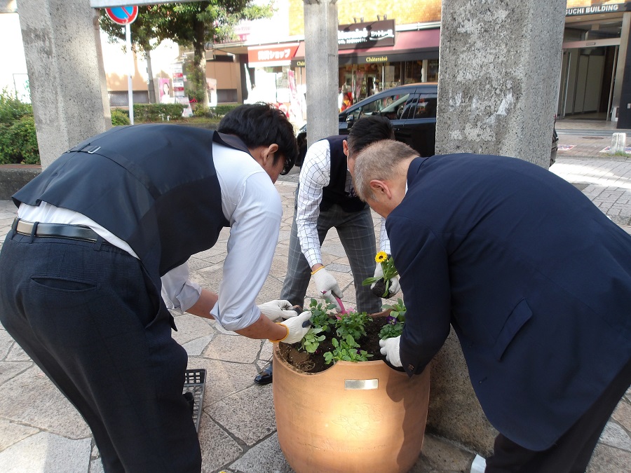 植え替えの様子3