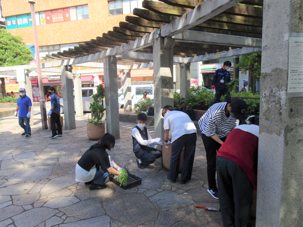 大橋駅花壇植え替え2