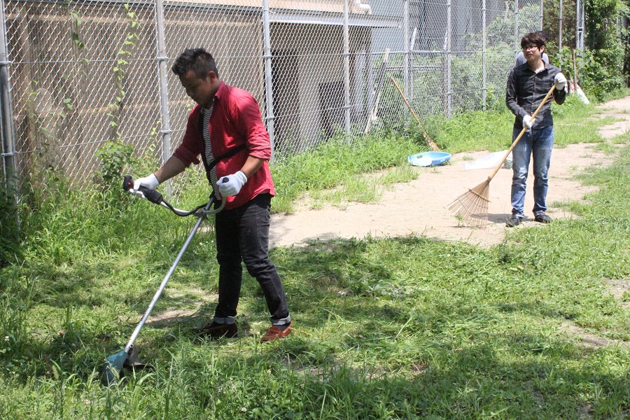外国人留学生が草刈り機を使って除草活動をしている様子