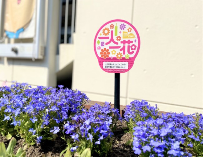 区役所植え替え（4月）