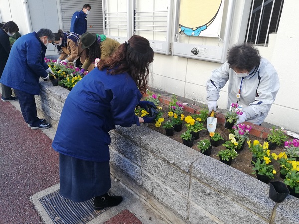 皆で協力して植え替え