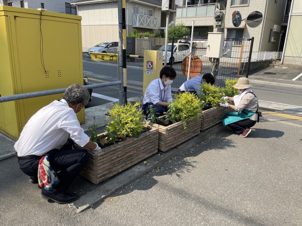 南区役所庁舎花壇の植え替え（5月）