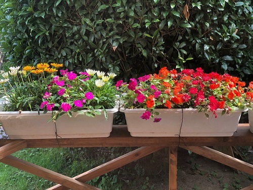 みどりがおか幼稚園