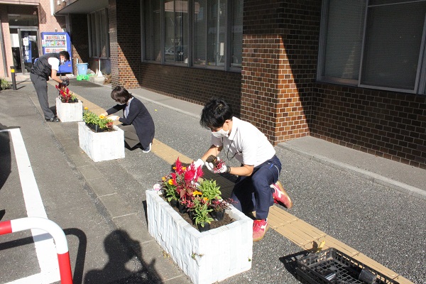 職員による植え替え