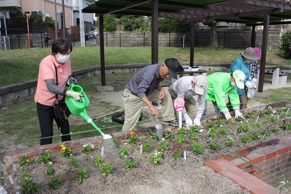 柳河内公園愛護会のメンバーが植えます