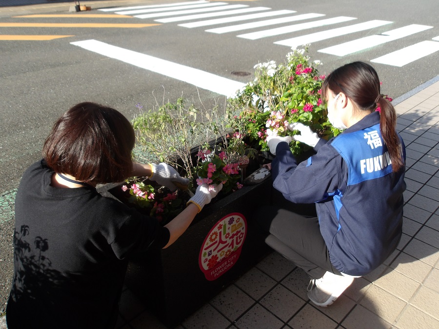 花の植え替えの様子1