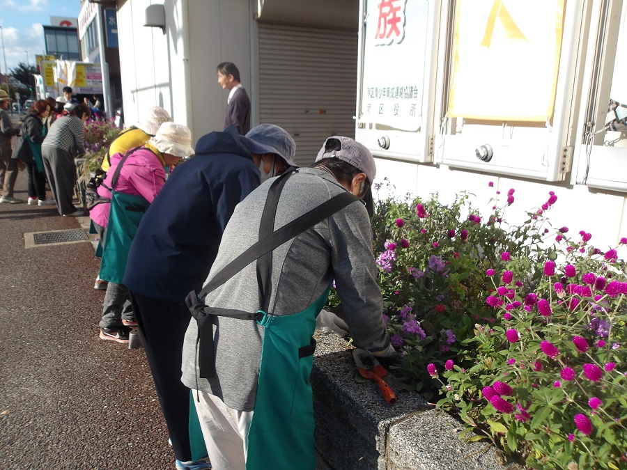 花の植え替えの様子2