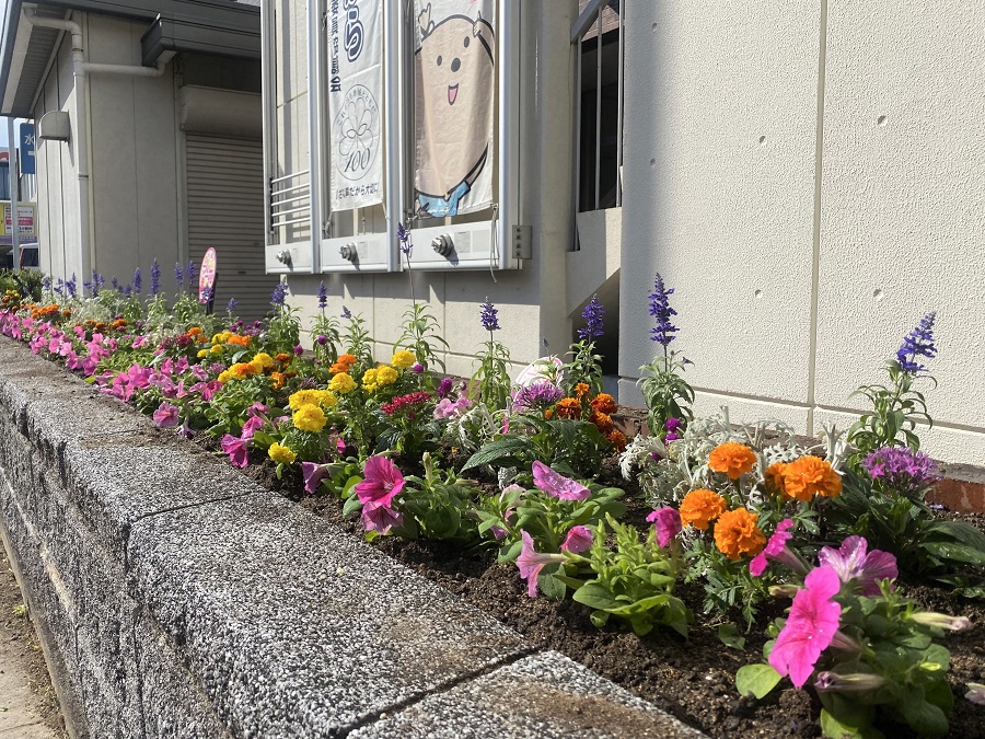 保健福祉センター前花壇植え替え後