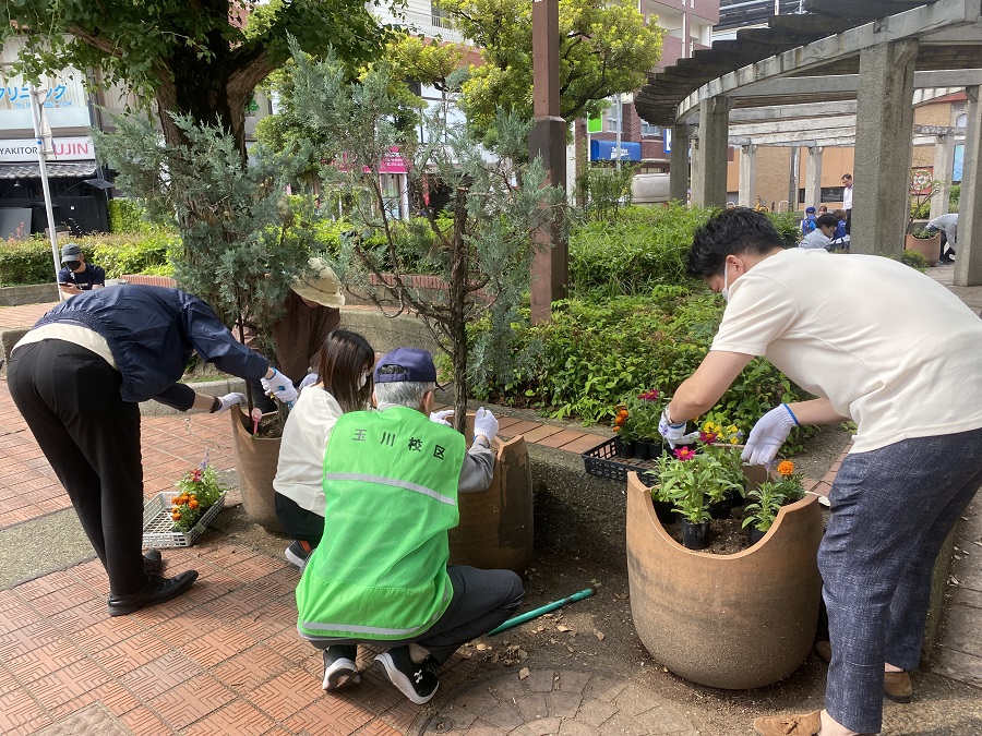 植え替え作業の様子