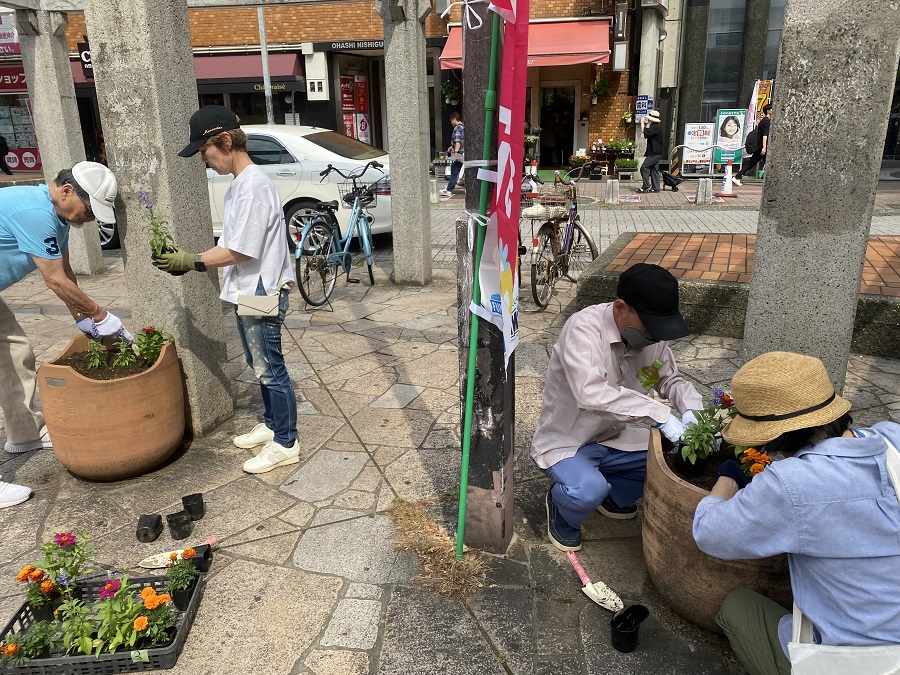 植え替えの様子2