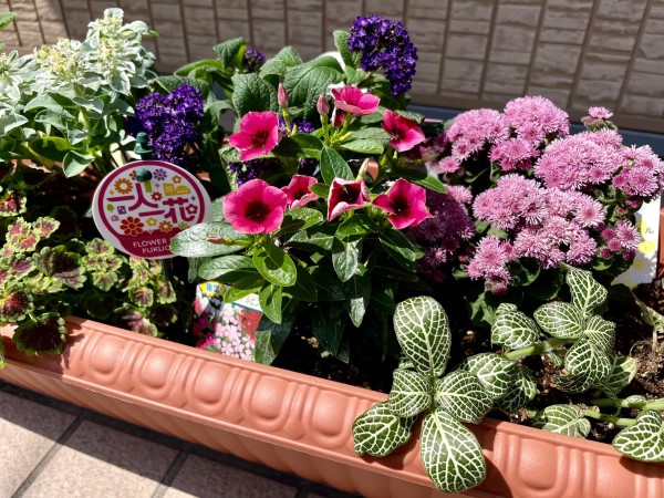 フィン大橋北　2