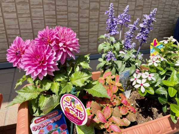 フィン大橋北　3