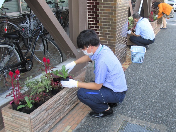 区庁舎花壇の植え替え