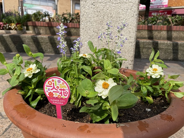 大橋駅西口の花