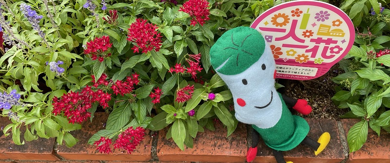 南区「一人一花(ひとりひとはな)」運動のタイトル画像