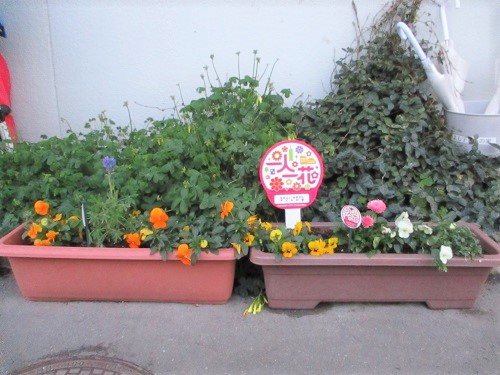 なかよし・あおぞら