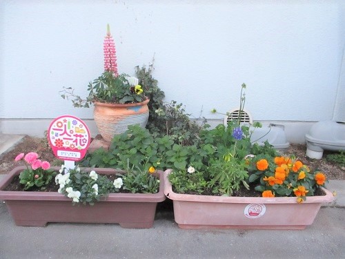 なかよし・あおぞら2