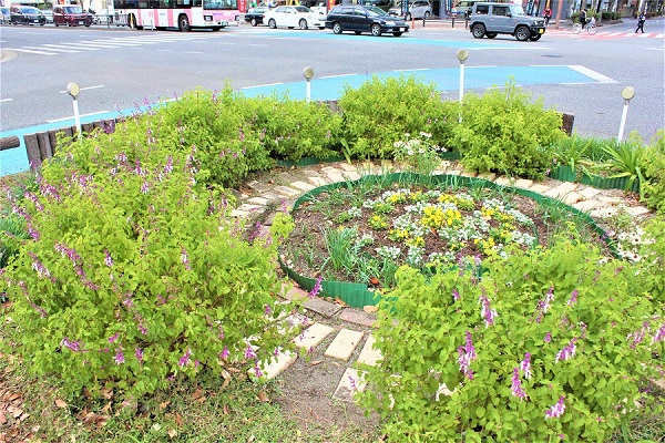 大橋駅前の植え替え