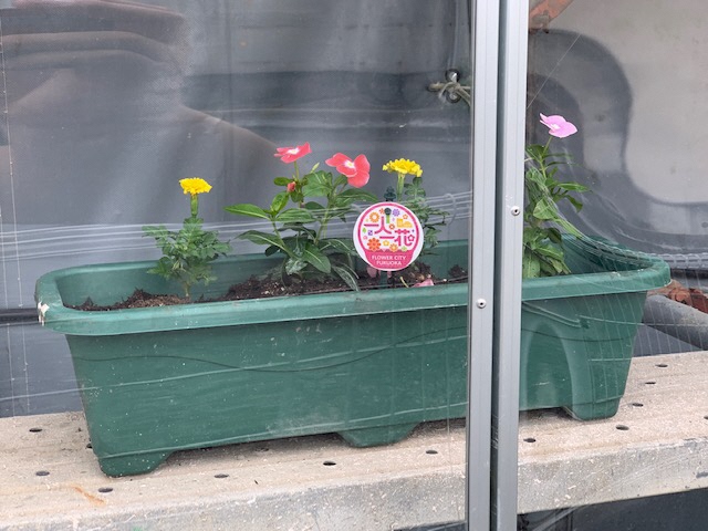 「照栄・博栄建設工事共同企業体」様の花壇１