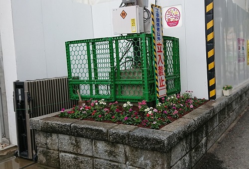 南市民センター現場花壇2
