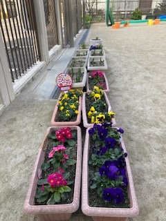 しおばる保育園1