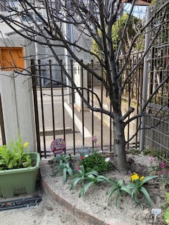 しおばる保育園2