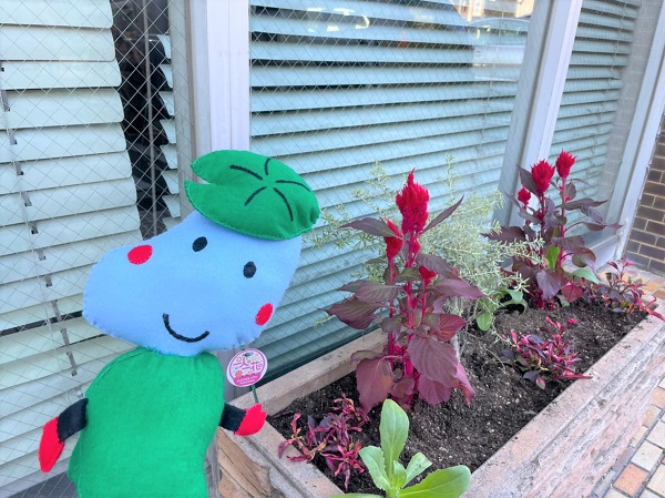 ため蔵くんと花