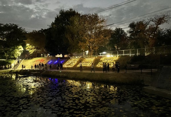 平尾新池北側斜面のあかり