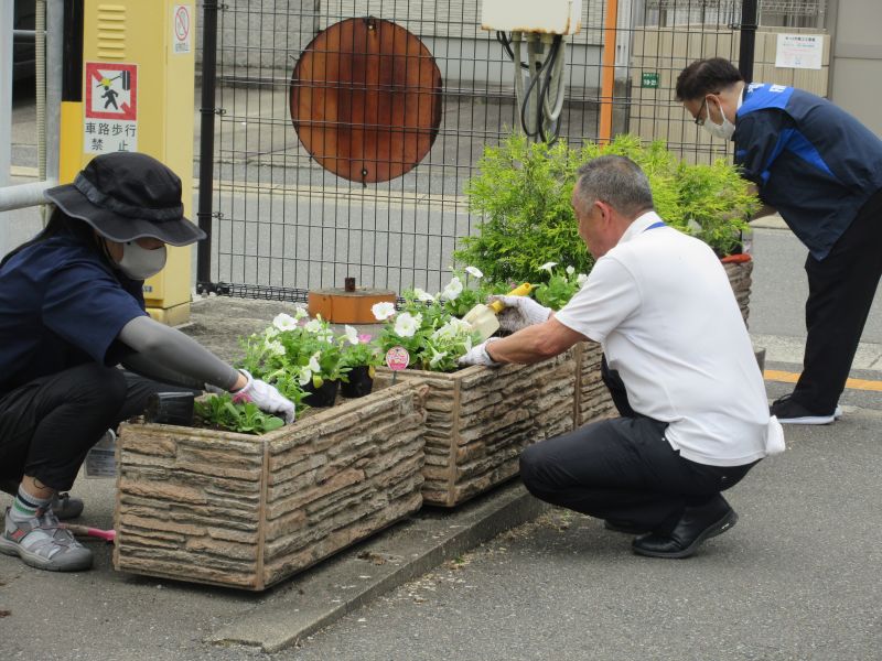 区役所の花壇の植え替えの様子４の２