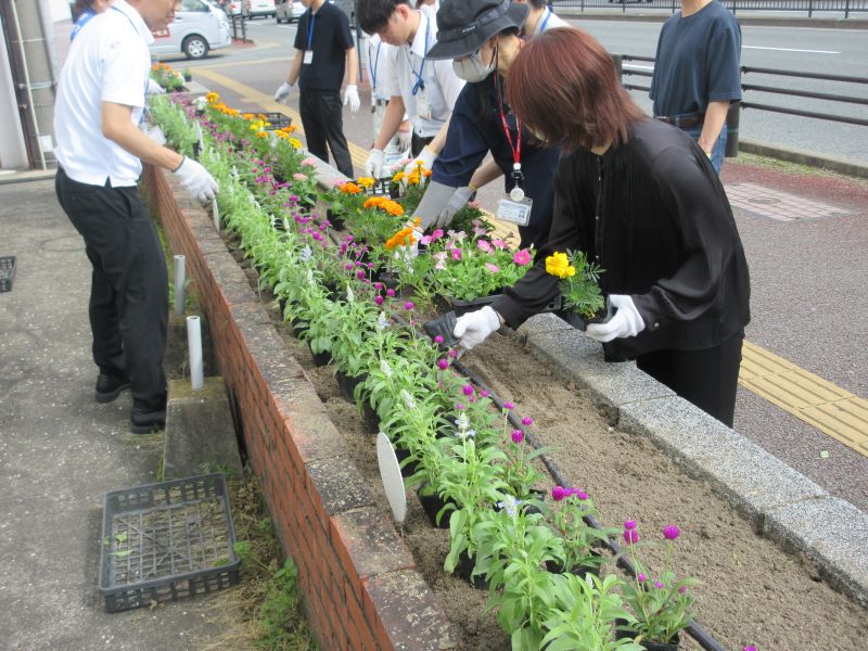 区役所の花壇の植え替えの様子４の１