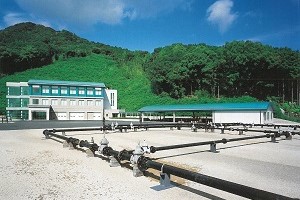 研修所全体の写真