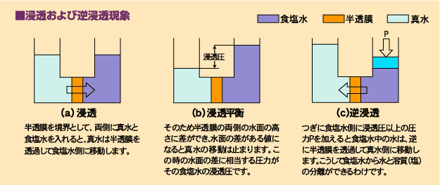 浸透および逆浸透現象