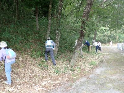 草刈り作業の写真