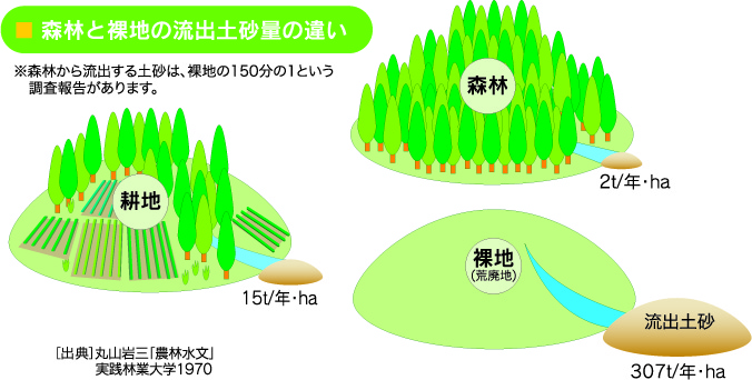 流出土砂量の違いのイラスト
