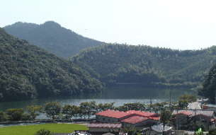 曲渕水源かん養林の写真