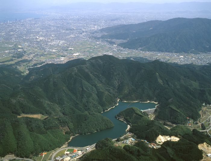 曲渕水源かん養林