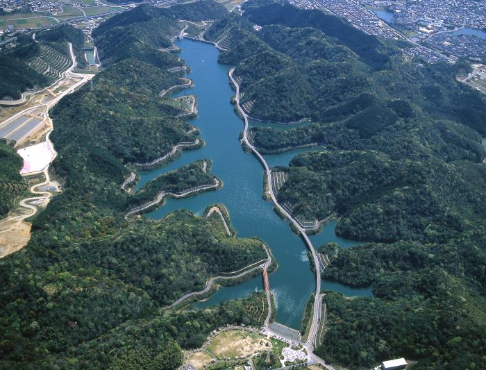 長谷水源かん養林