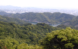 長谷水源かん養林の写真