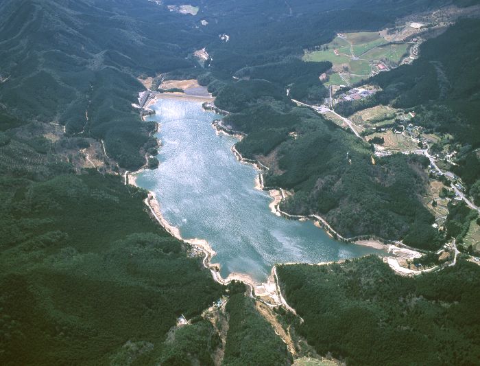 脊振水源かん養林