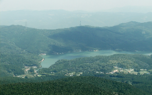 背振水源かん養林の写真