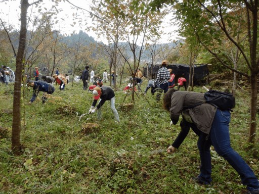 下草刈りの様子