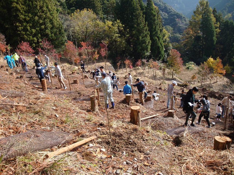 水をつなぐ流域交流in下戸河内での植樹作業の様子