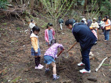 ダム周辺の水源かん養林での植樹の写真