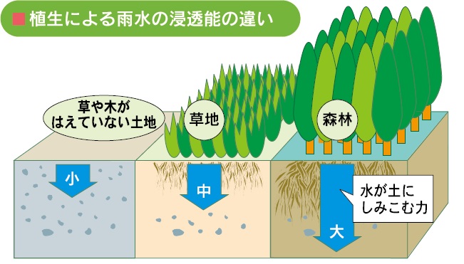 雨水の浸透能の違いのイラスト