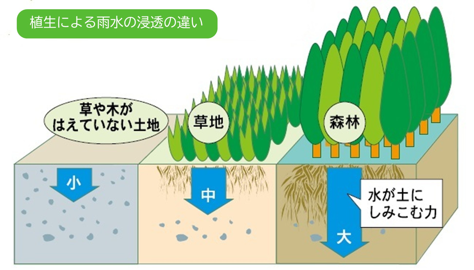 雨水の浸透